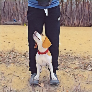 Изучение трюков