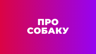 про Сибу Ину