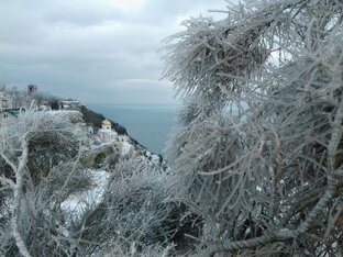 Моими глазами.Любимый юг❤️