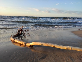 Калининград.Shorts