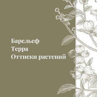 Барельеф, терра, оттиски растений