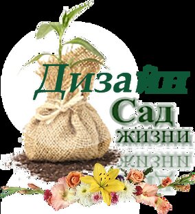 Дизайнерские штучки.