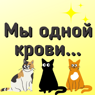 О похожести кошек и людей