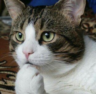 Интересное разное.