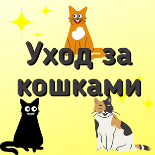 Забота о кошках: что, как, зачем