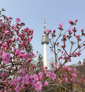 Моя Корея 🌸