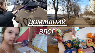 Домашние влоги 
