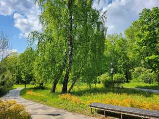 Прогулки по городу