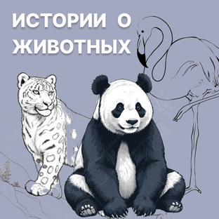 Истории о животных