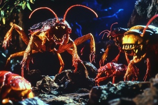 Десять фактов, которые вы могли не знать о…