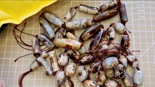 Подборка СПОРЫ с AliExpress. Как вернуть деньги. 