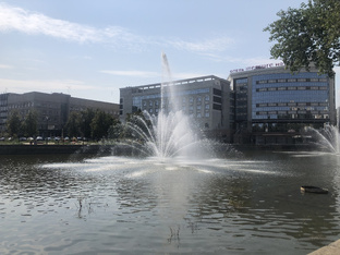 Светские прогулки