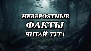 Факты, о которых мало кто знает. Правдивые и удивительные, трудно поверить.