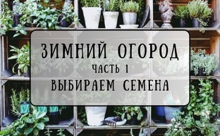 Зимний огород