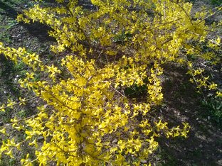 Любимые увлечения