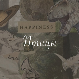 Птицы