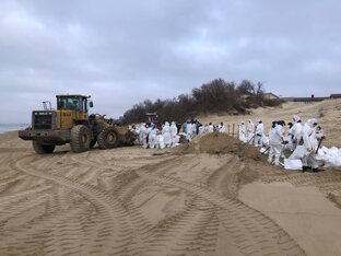 Ликвидация последствий разлива нефти в Керченском проливе