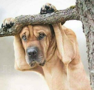 На злобу дня