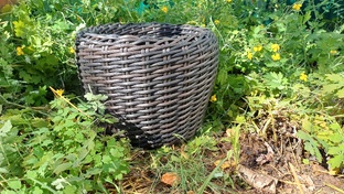 Плетение кашпо ротангом 