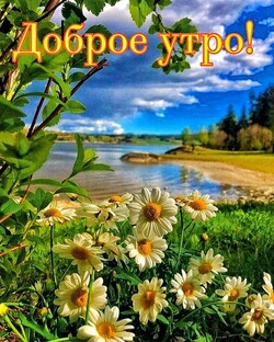 Доброе утречко!