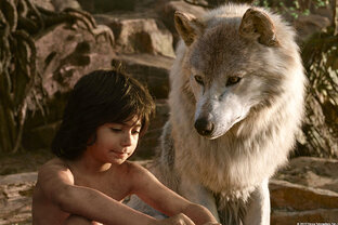 Проза, поэзия, сказки и др. жанры: Книги. Экранизации. Фильмы. Актеры