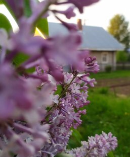 Родительский дом❤️