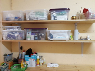 Ветеринария