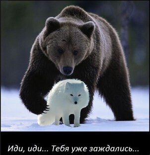 О том, о сём...