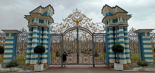 Пригороды Петербурга