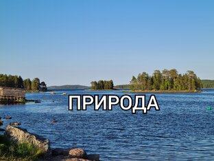 Природа / Туризм