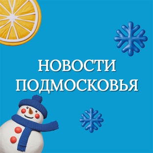 НОВОСТИ ПОДМОСКОВЬЯ