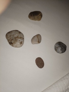 Аквариумная жизнь