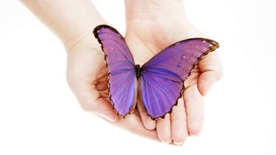 Моя психология