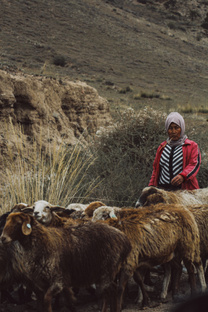 Кыргызстан 