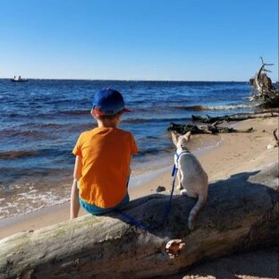 Про жизнь: наш дневник