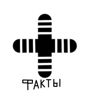Интересные факты 