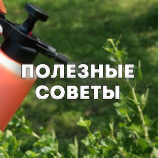 Полезные советы