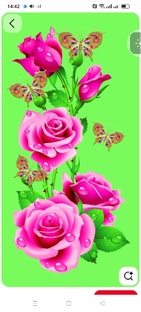 Вкусные блюда 