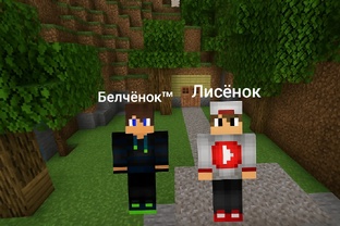 Выжывание с Лисёнком 