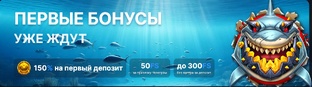 БК «Vodka Bet»