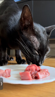 Натуральное питание 