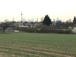 Как жизнь в Германии?