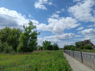 Видео о природе