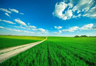 Зарисовки с полей)