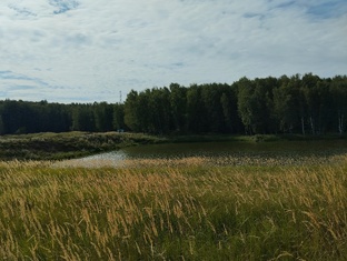 Отель - заповедник Лесное. 