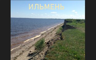 Новгородская область