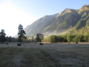 Психология