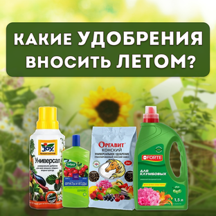 Какие удобрения вносить летом?