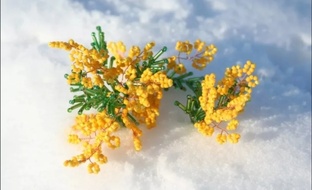 Весенние мотивы