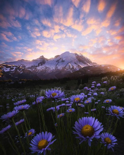 Факты и которых точно нужно знать!